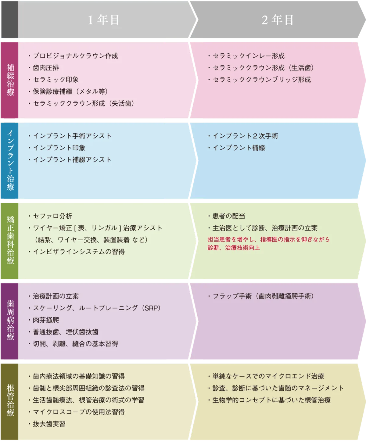 歯科医師スキルアップモデル 1年目〜2年目（補綴治療・インプラント治療・矯正歯科治療・歯周病治療・根管治療）