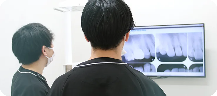 レントゲン写真を確認するスタッフ